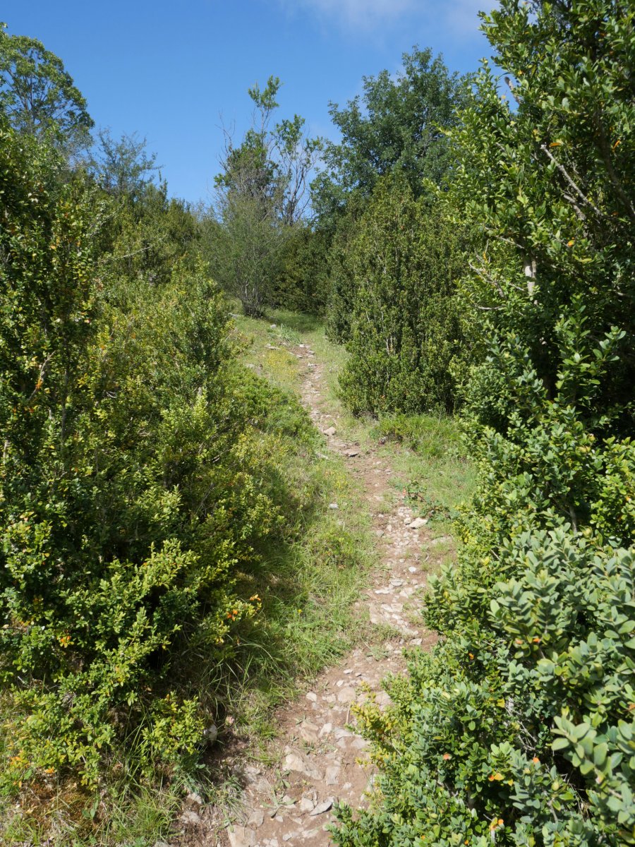 Azken txapako bidea ezpel artean