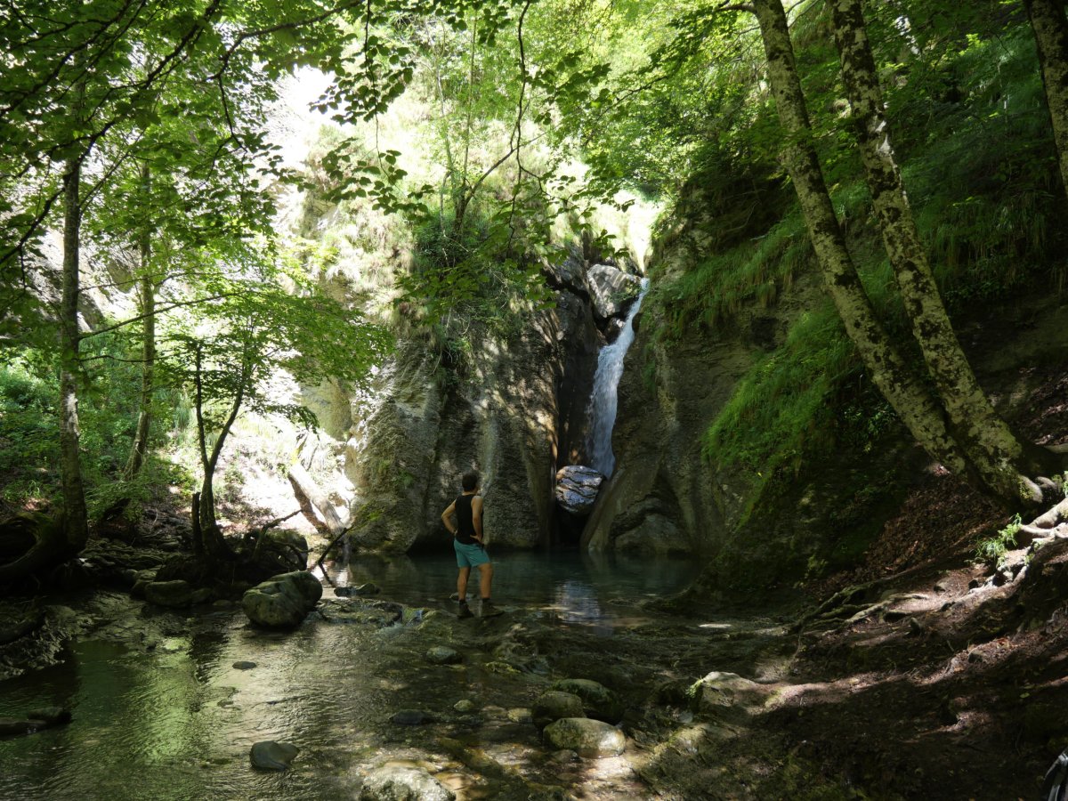 Arrakogoitiko ur-jauzia