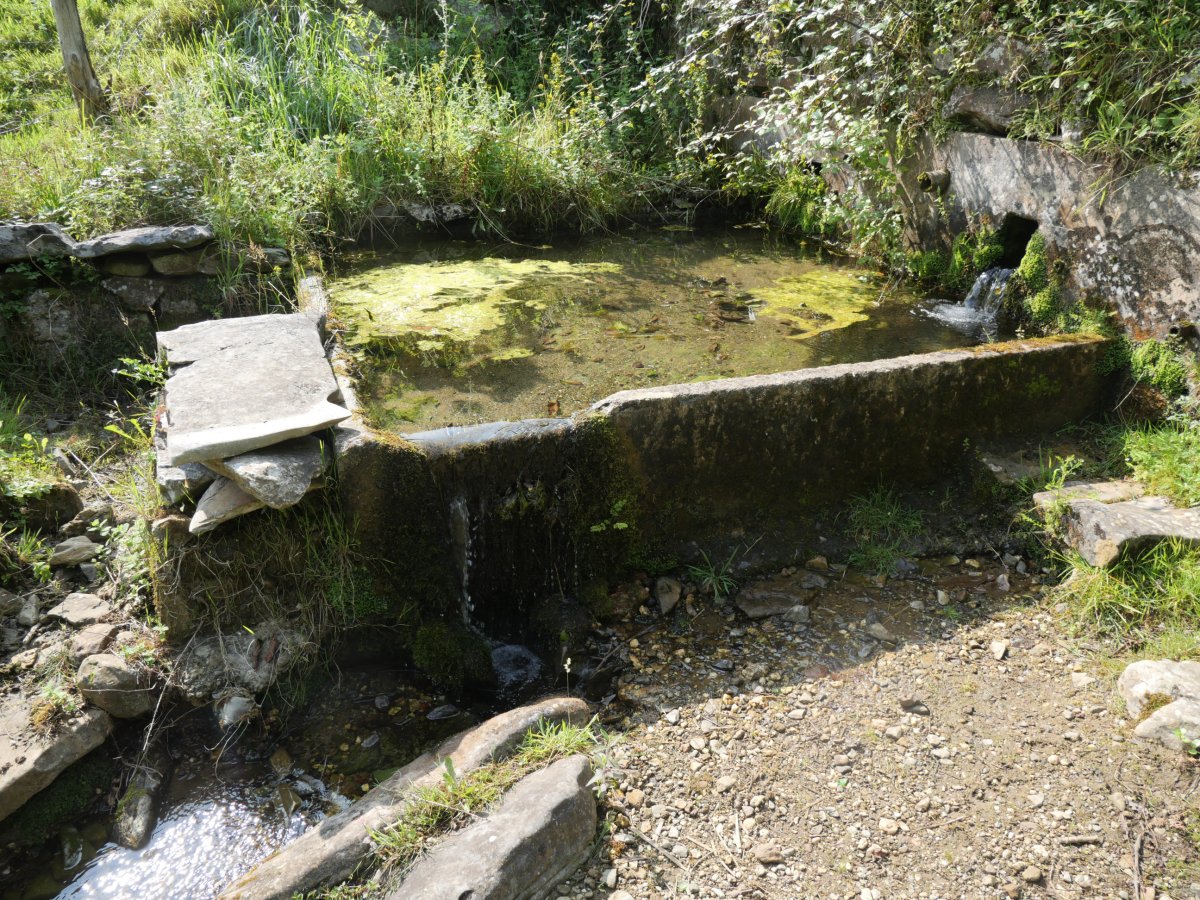 Tolaretako bordako iturria, Arantza