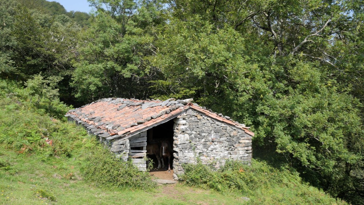 Borda, Gerasuko bidearen bazterrean