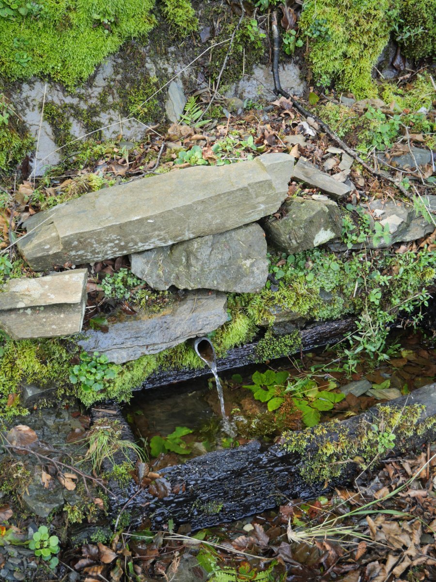 Iturria bide bazterrean