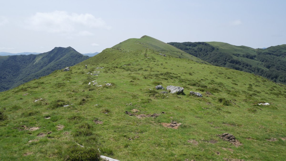 Komizko Gaina iparraldeko bizkarretik