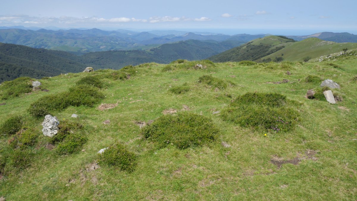 Gerasuko atakako harrespilak