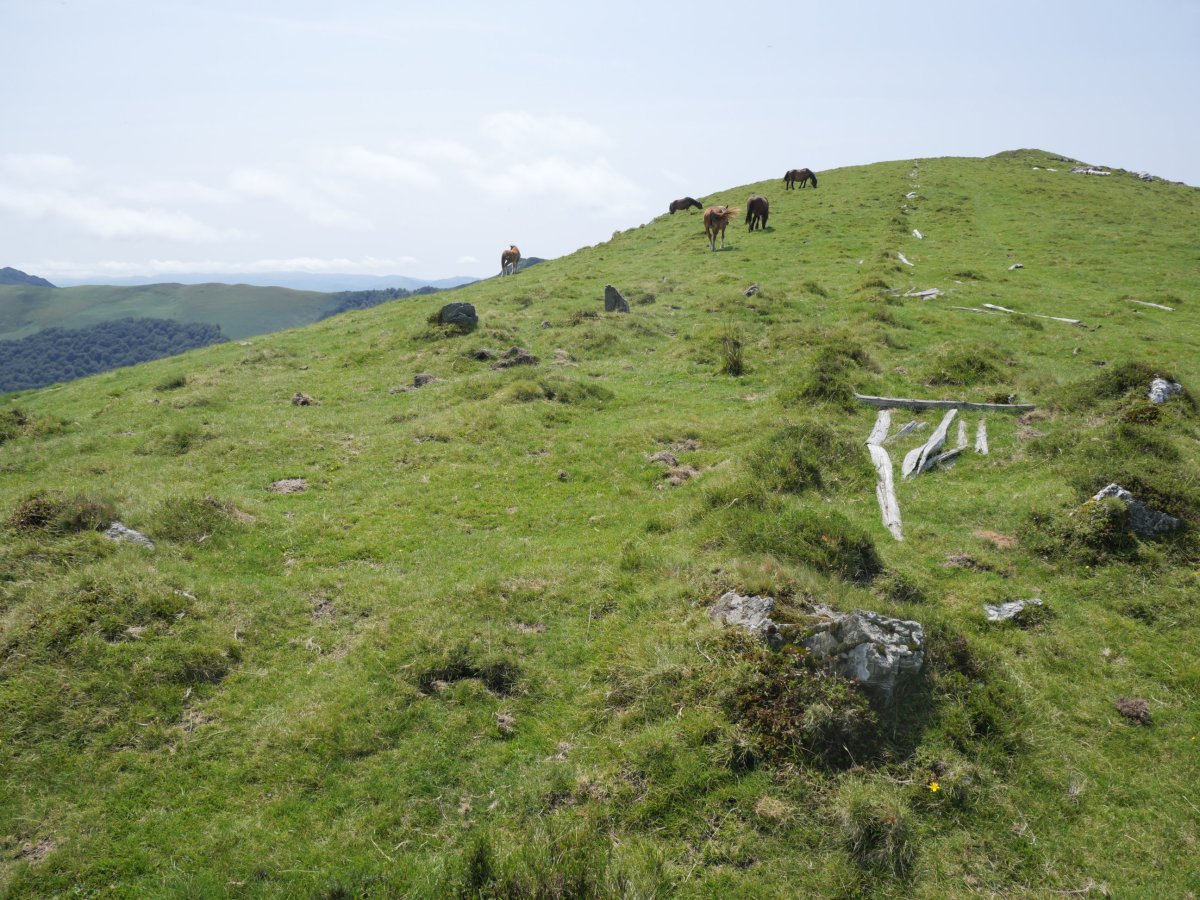 Gerasuko atakako harrespilak