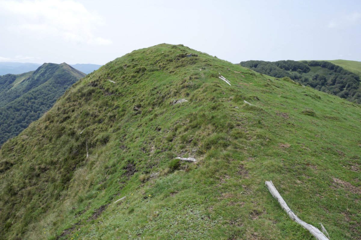 Komizko Gaina tontorra