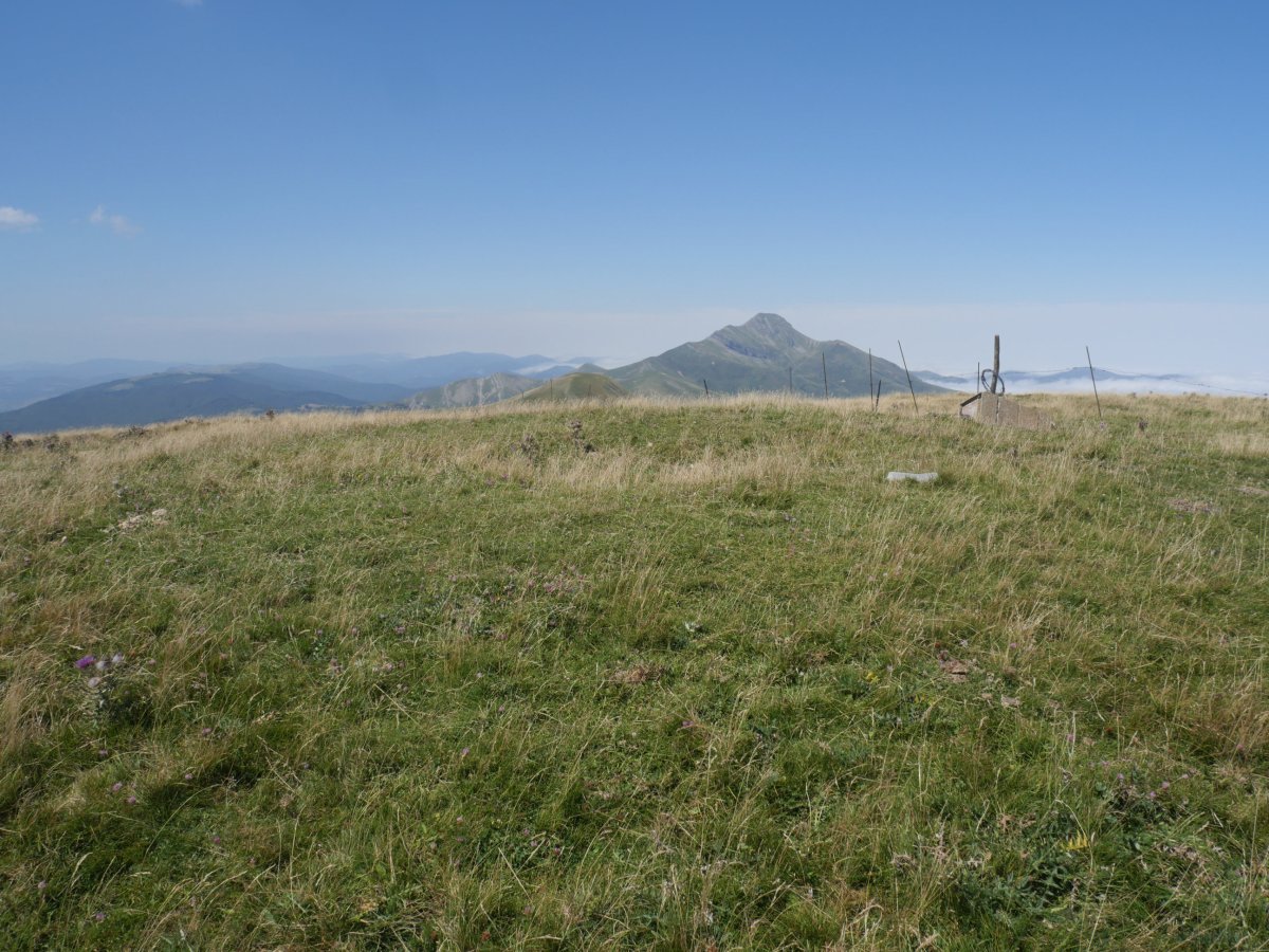 Otsogorritxipia tumulua