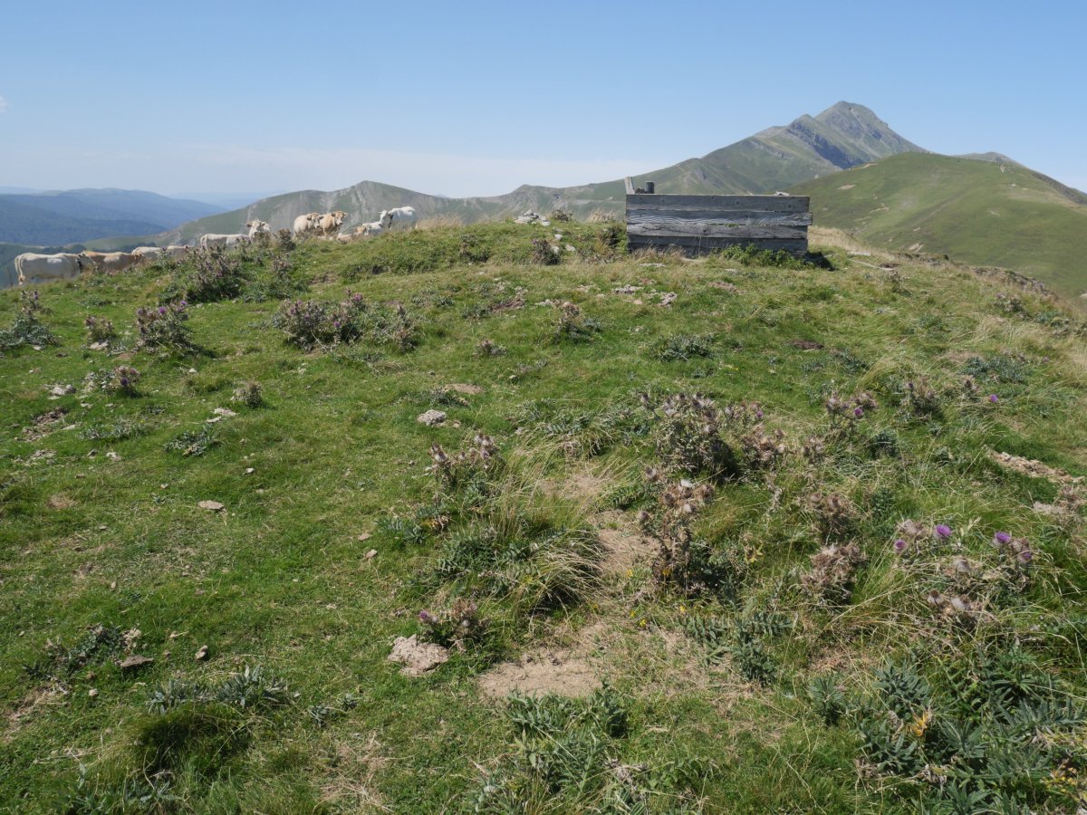 Betzulagaña tumulua