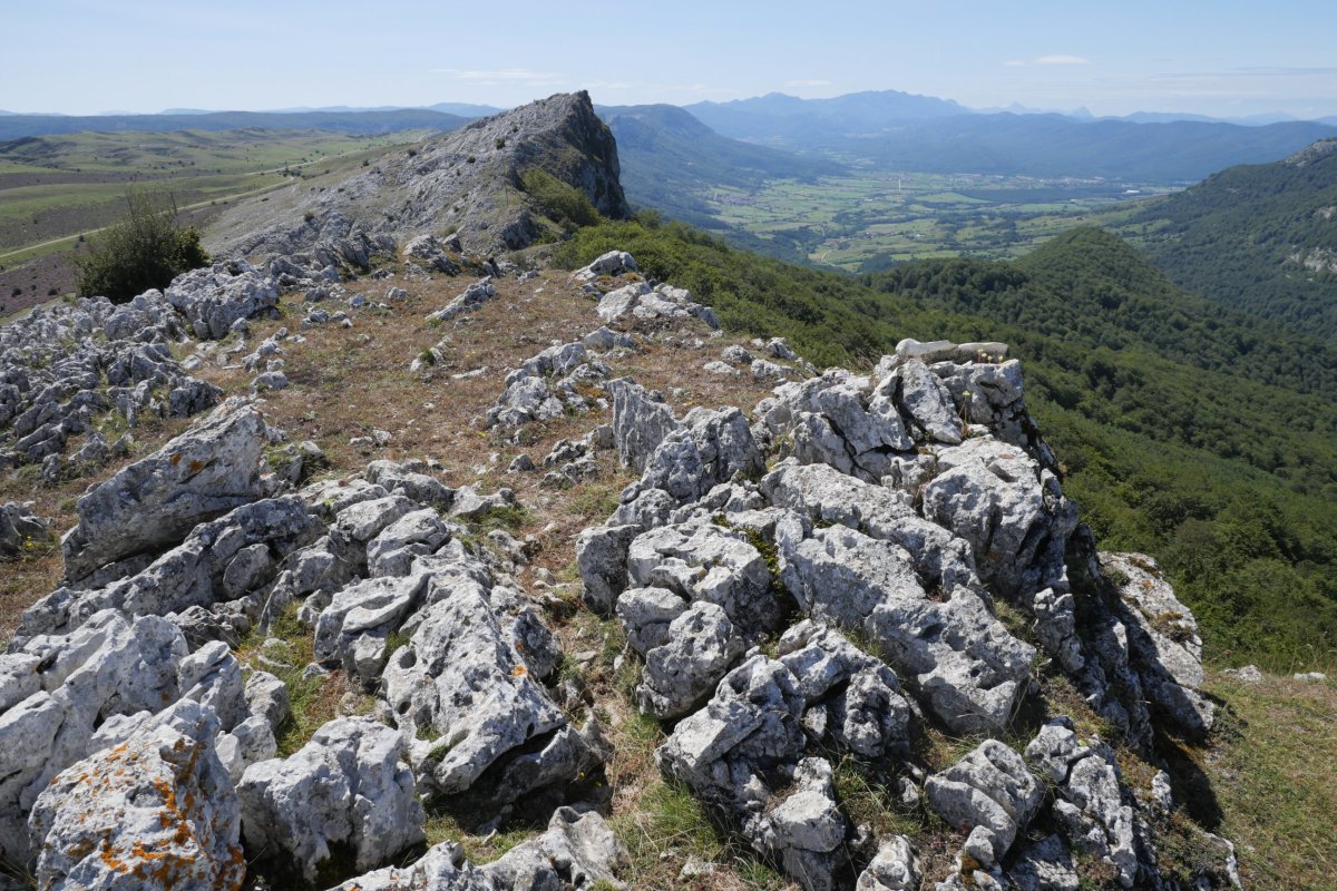 Eskalaborro Pagomotxeta aldetik