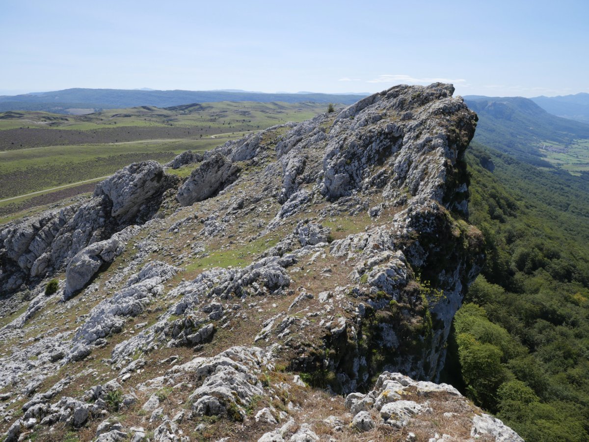 Eskalaborro tontorra ekialdetik