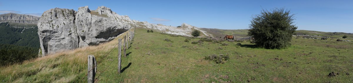 Aitzorrotz tontorra mendebaldetik