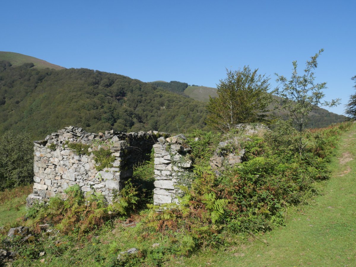 Borda bate aurriak Ollargarate aldean