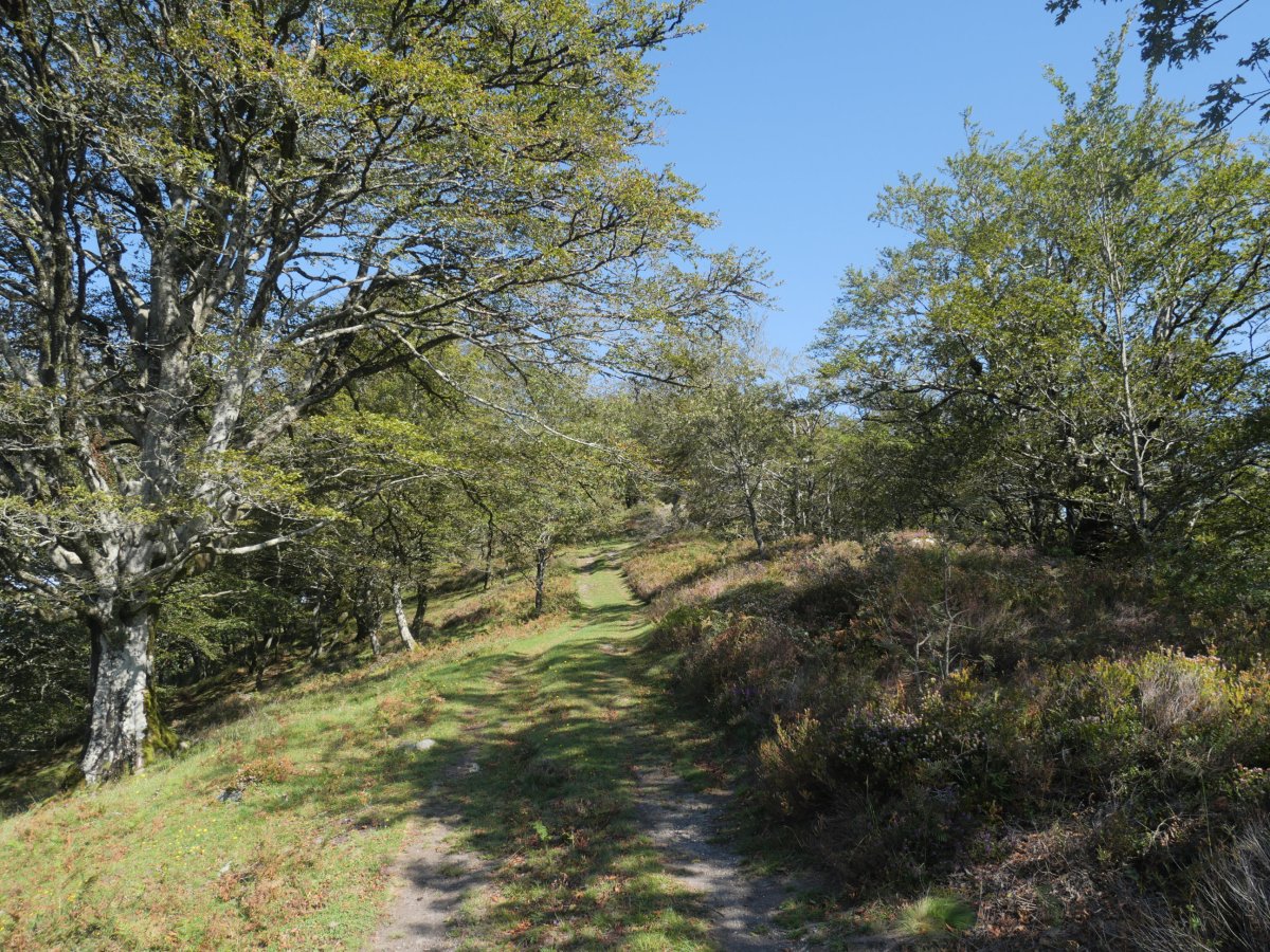 Ollargarate aldeko pasarte bat