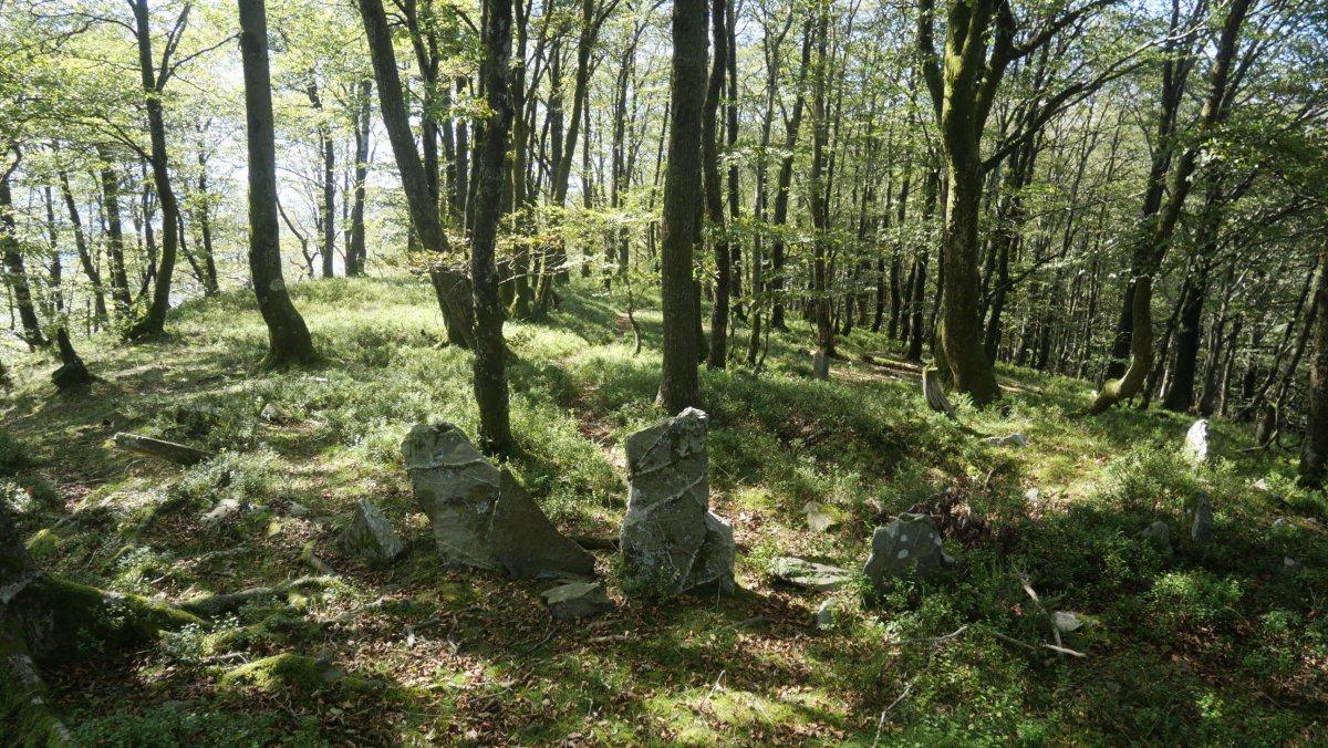 Baraxar Pagoxar harrespila