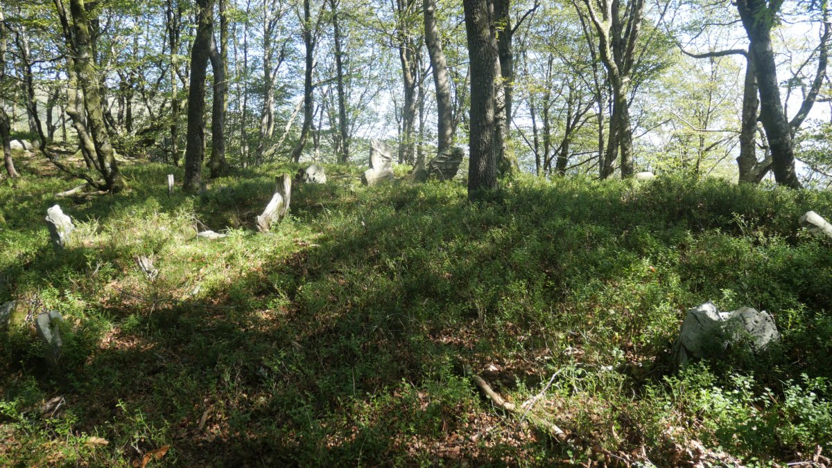 Baraxar Pagoxar harrespila