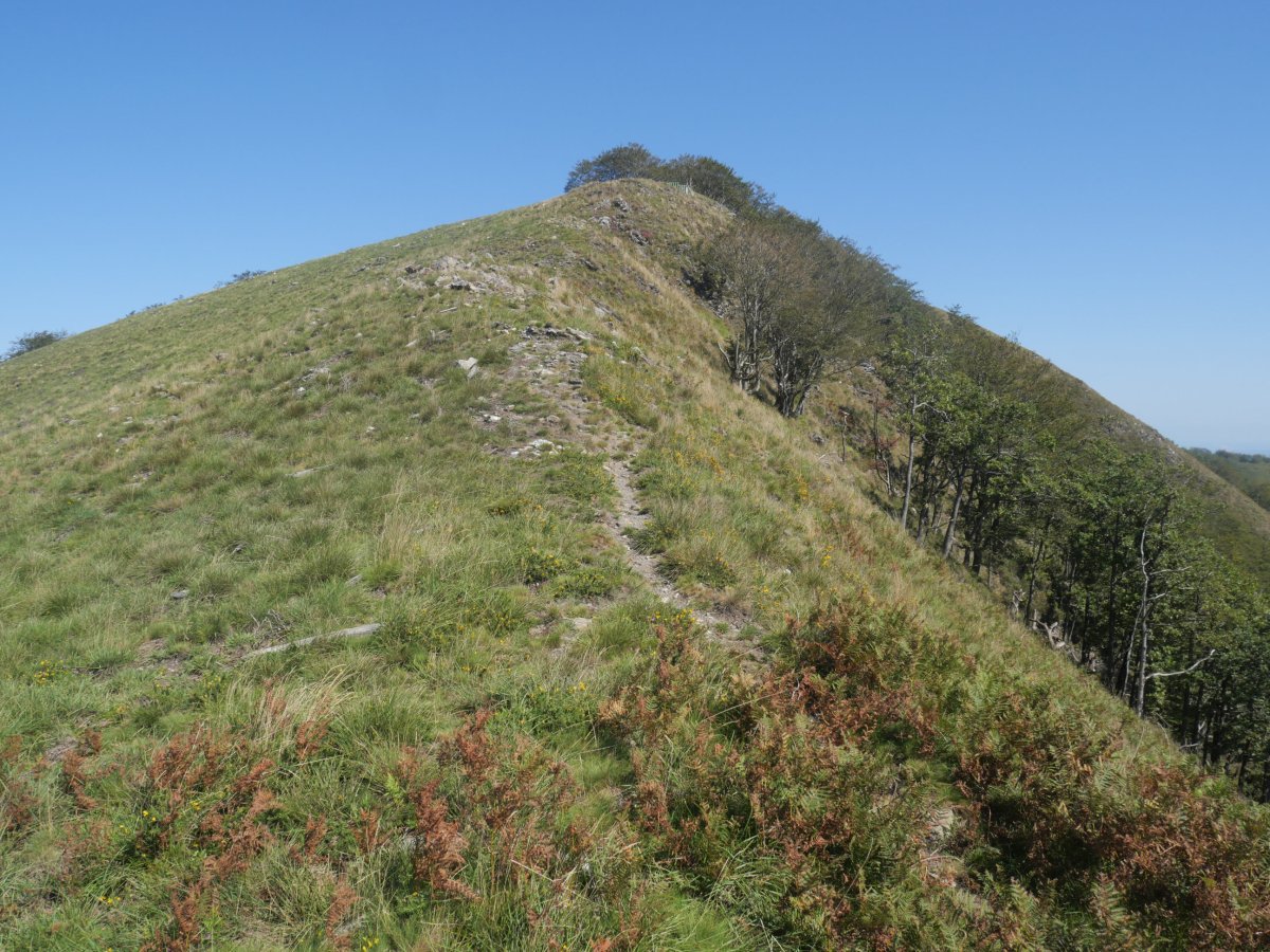 Izuko hegoaldeko bizkarra