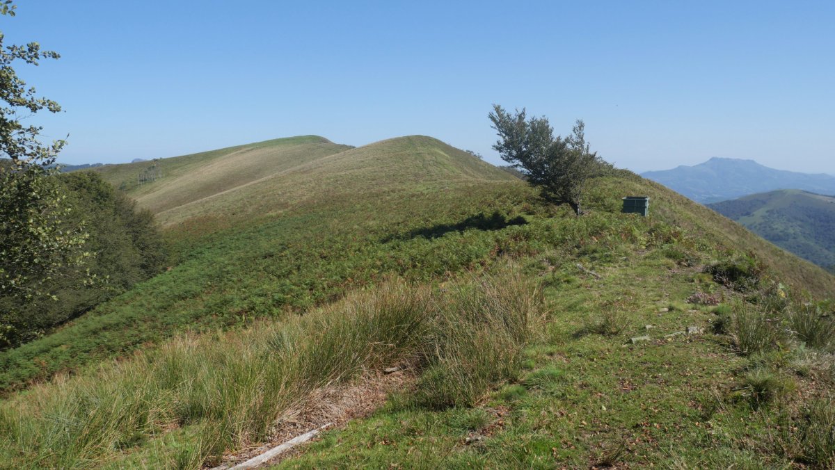 Izu, hegoaldeko bizkarretik