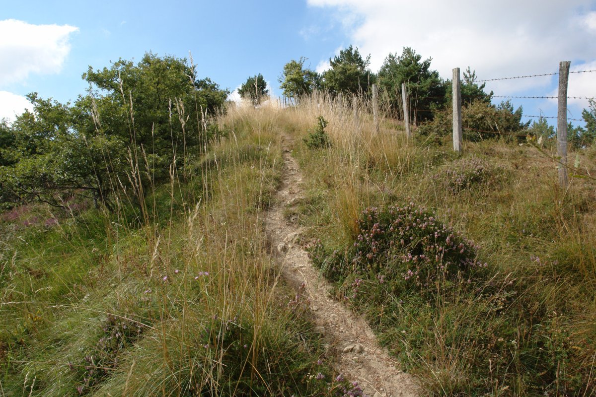 Lendiz, iparraldeko igoerako azken txanpa
