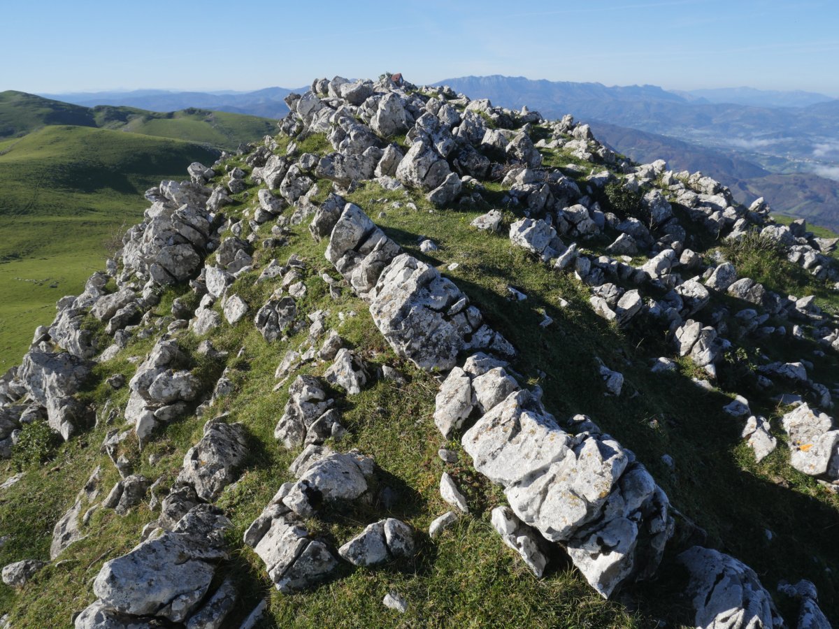 Auntzizegi tontorra ekialdetik