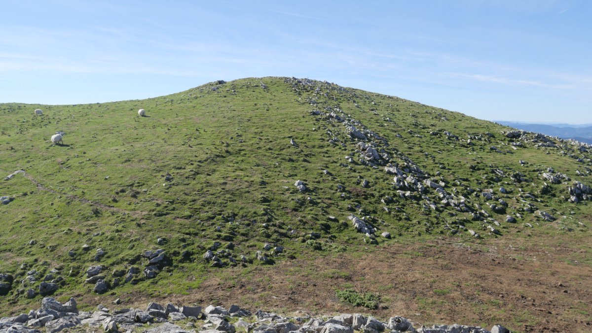 Beleku, lehenengo muinoa mendebaldetik