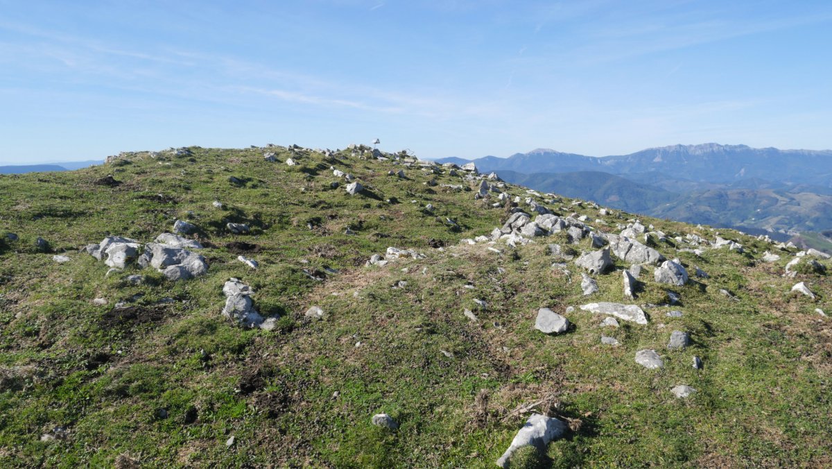Beleku, mendebaldeko gaina, txartelontzia duena