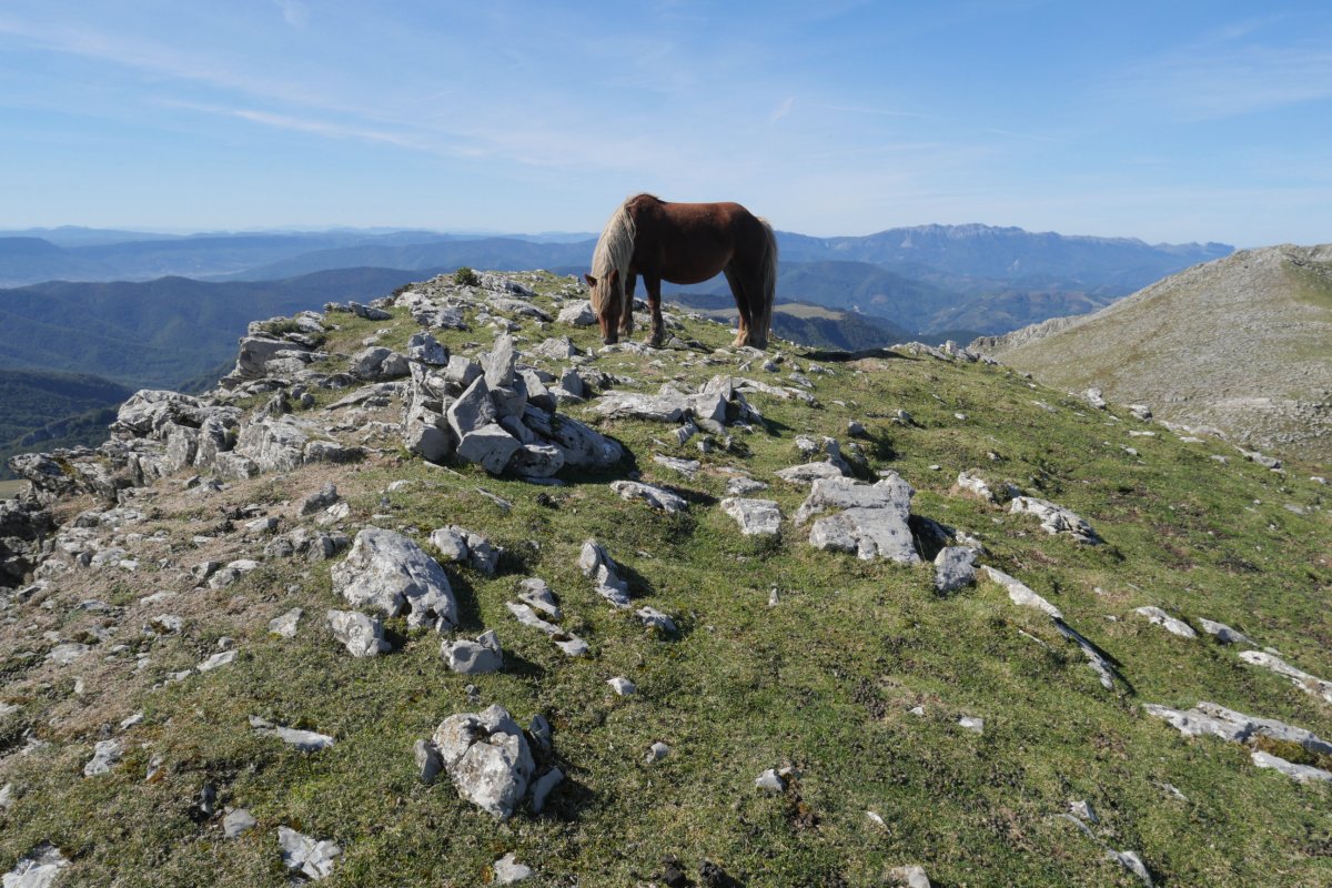 Urrusti izeneko muinoa, Gañeta eta Malkorri artean