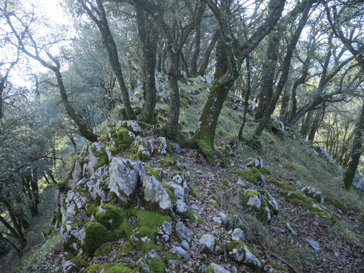 Artitzako Malkorra, iparraldeko bizkarreko pasarte bat