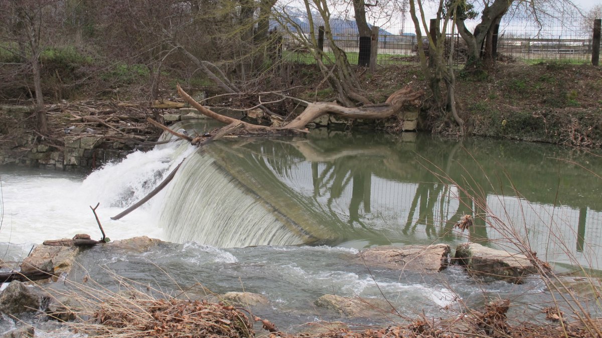 Errotaberria errotako presa