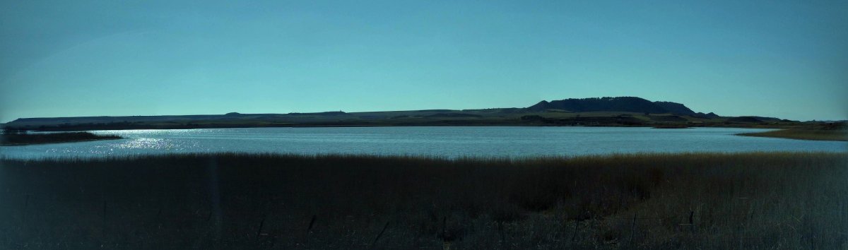 Pitillasko aintzira eta Arasa