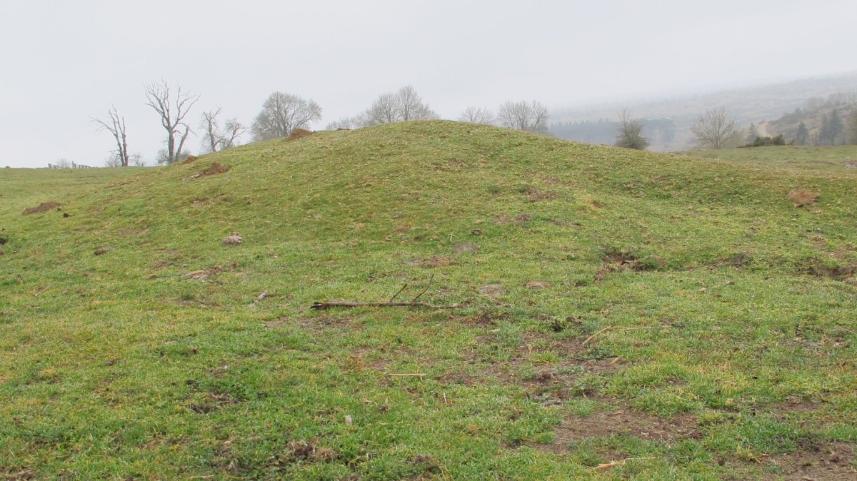 Mendinausi 1 etxola hondoa, Urbasa