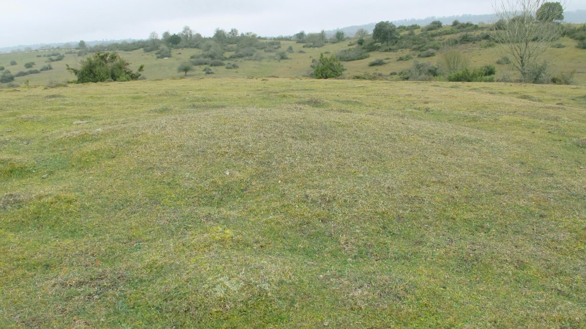Las Campanas Este etxola hondoa, Urbasa