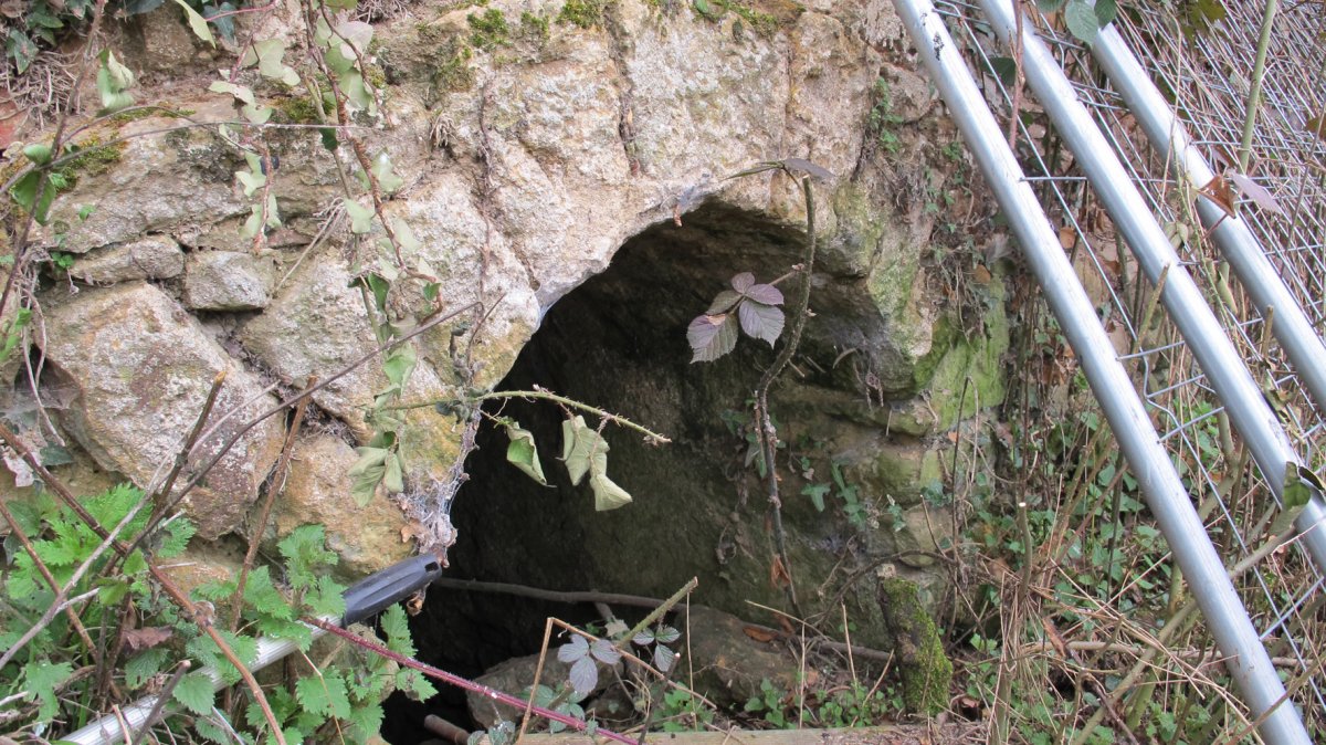 Errota Zahar errota, Altsasu