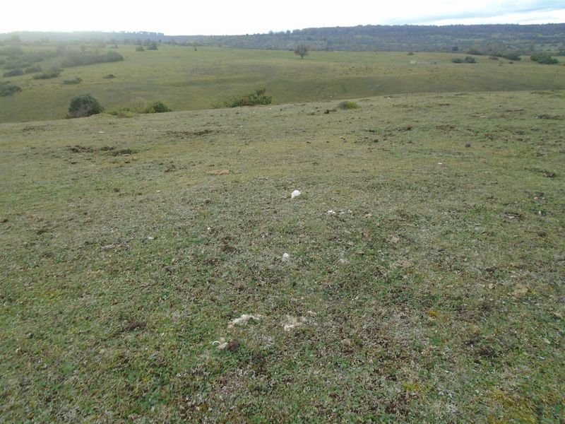 alto de errekasanta 5