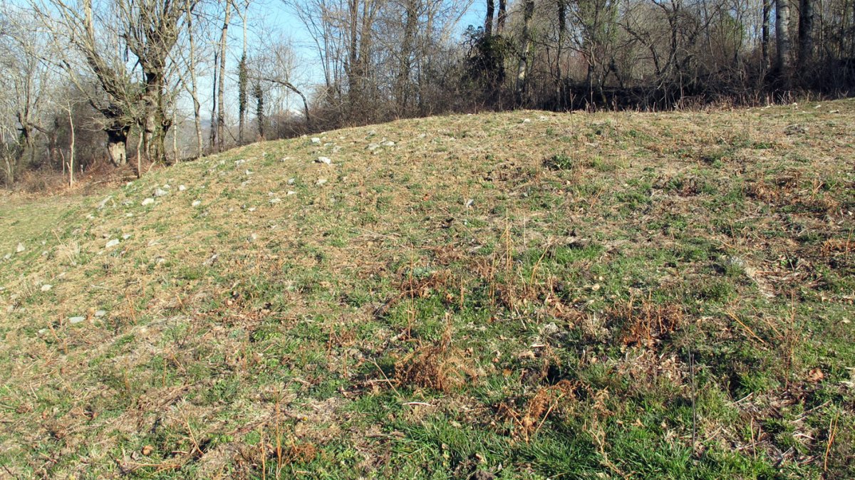 Larraldeko Borda etxola hondoa, Gartzain-Baztan