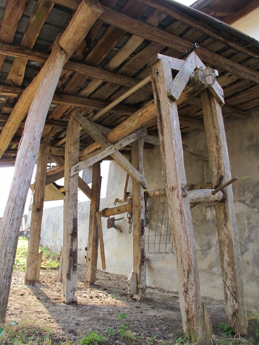 Olazarrea perratokia, Etxalar