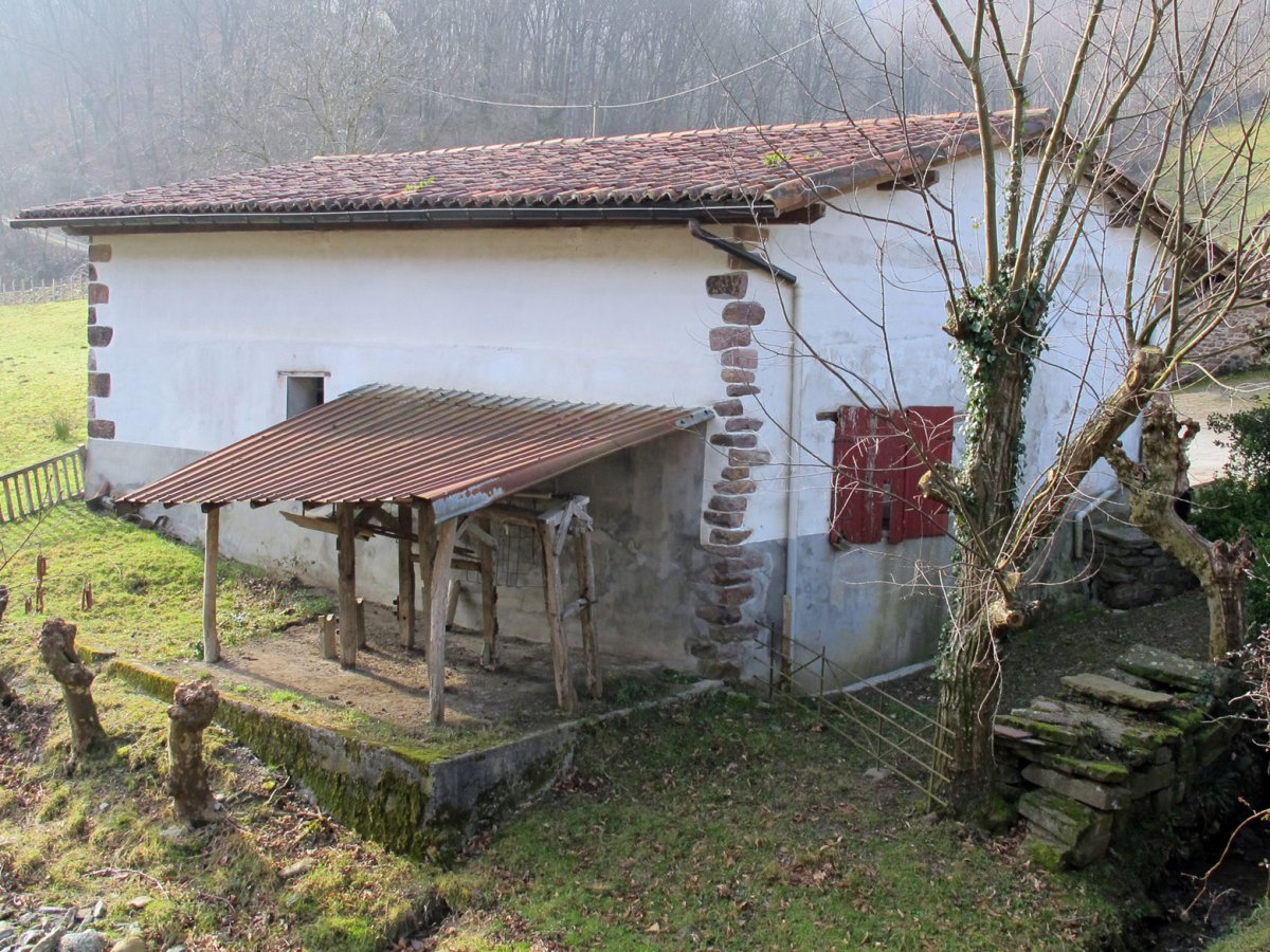 Olazarrea perratokia, Etxalar