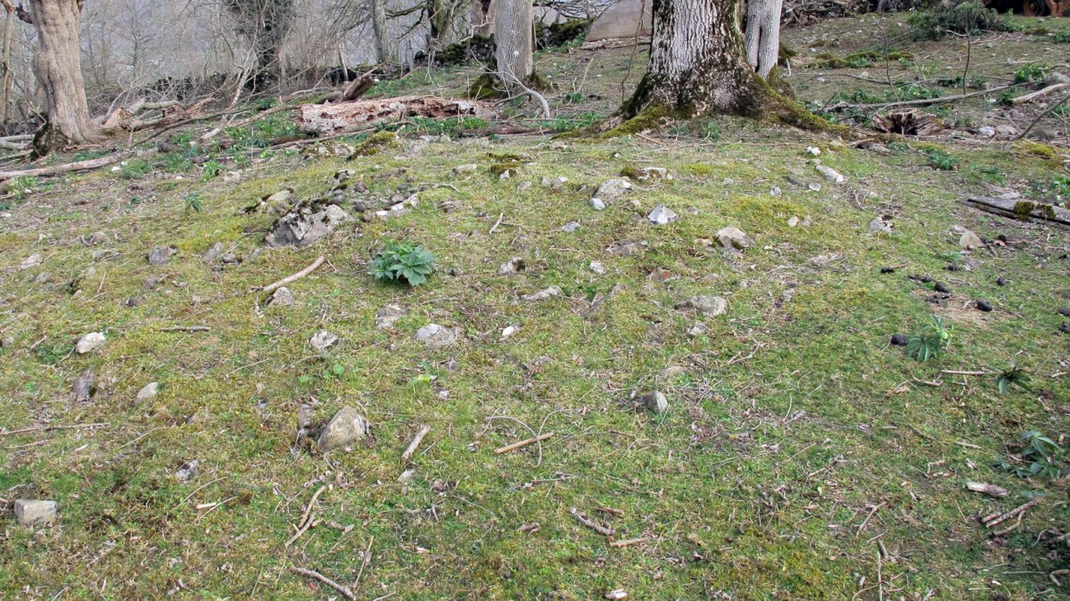 Indarteko borda 2, Gartzain-Baztan