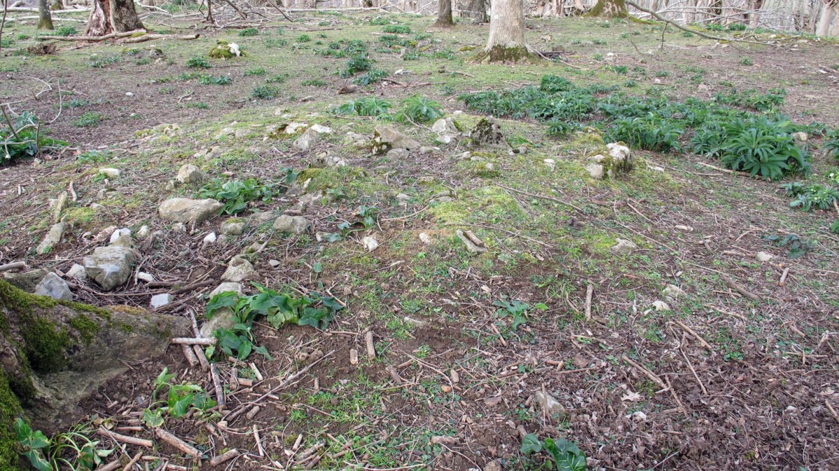 Indarteko borda 4, Gartzain-Baztan