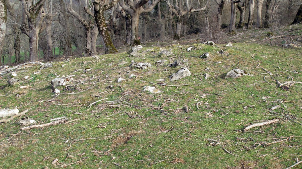 Indarteko borda 5, Gartzain-Baztan