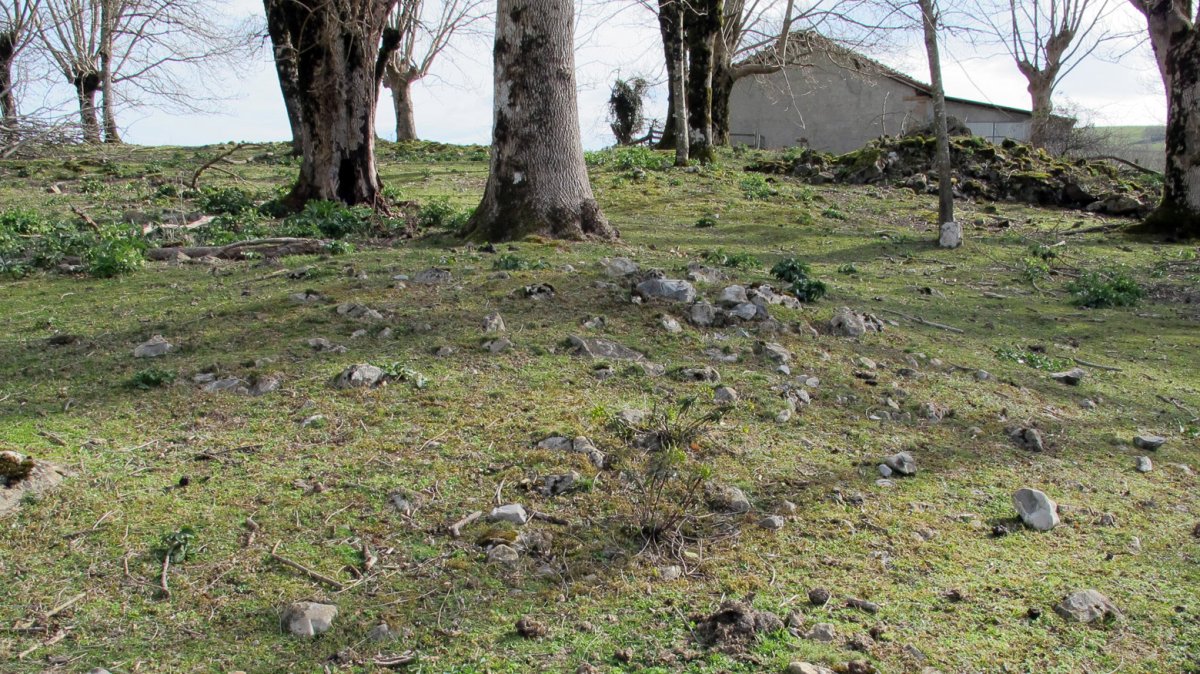 Indarteko borda 6, Gartzain-Baztan