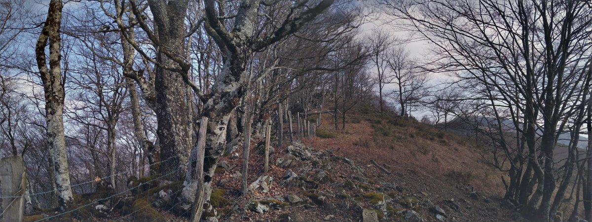 Bertizko txarrantxaren parean igoz