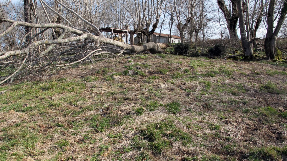 Indarteko Borda 2 etxola hondoa, Gartzain-Baztan