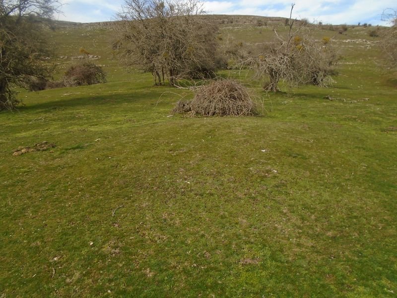 ingiriko portillua 2