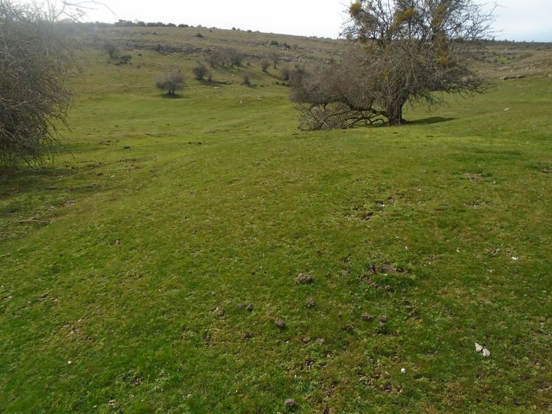 ingiriko portillua 3