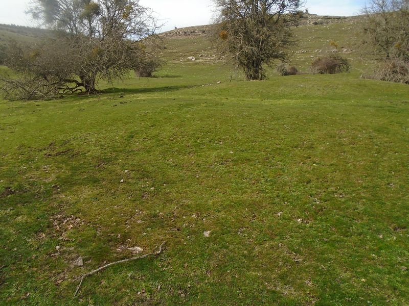 ingiriko portillua 3