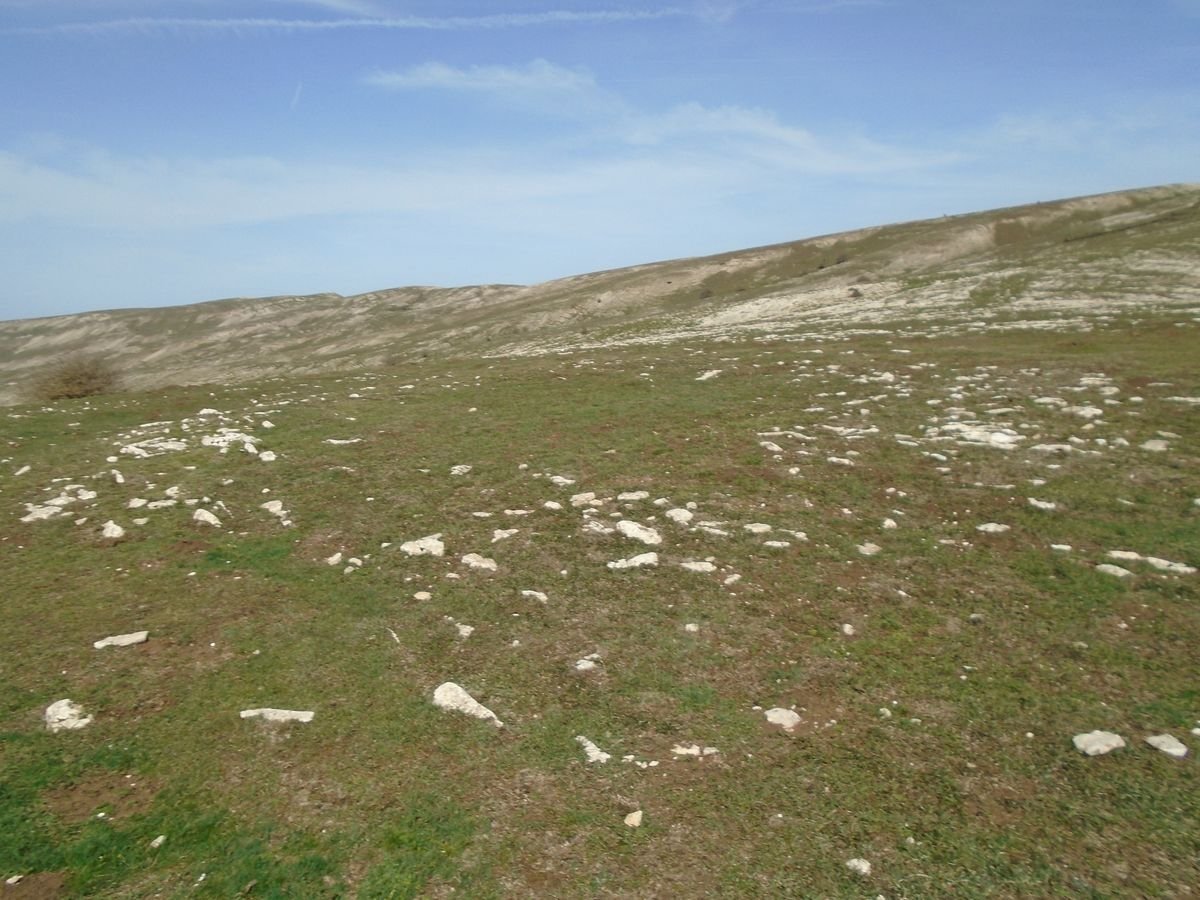 carabineros eraztun tumulua