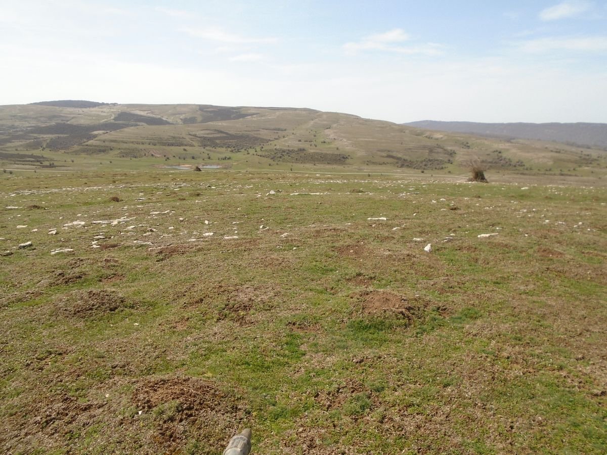 carabineros eraztun tumulua