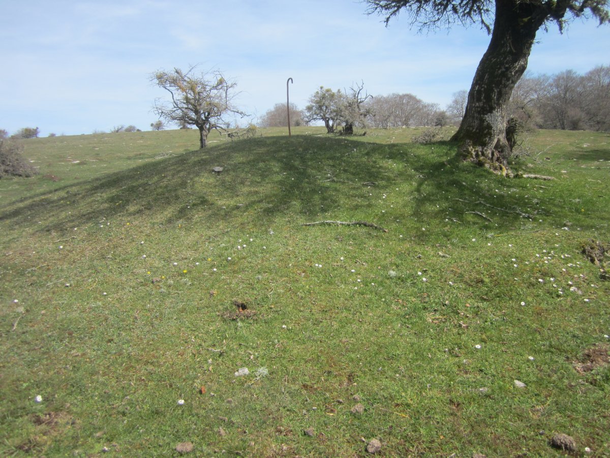 Túmulo Agin (04-2022)