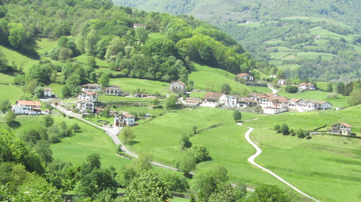 Artze auzoa, Donamaria