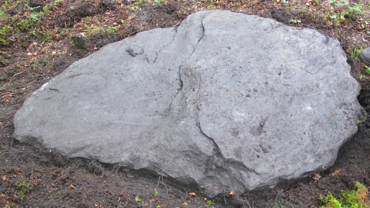 Argibel trikuharria, Donamaria