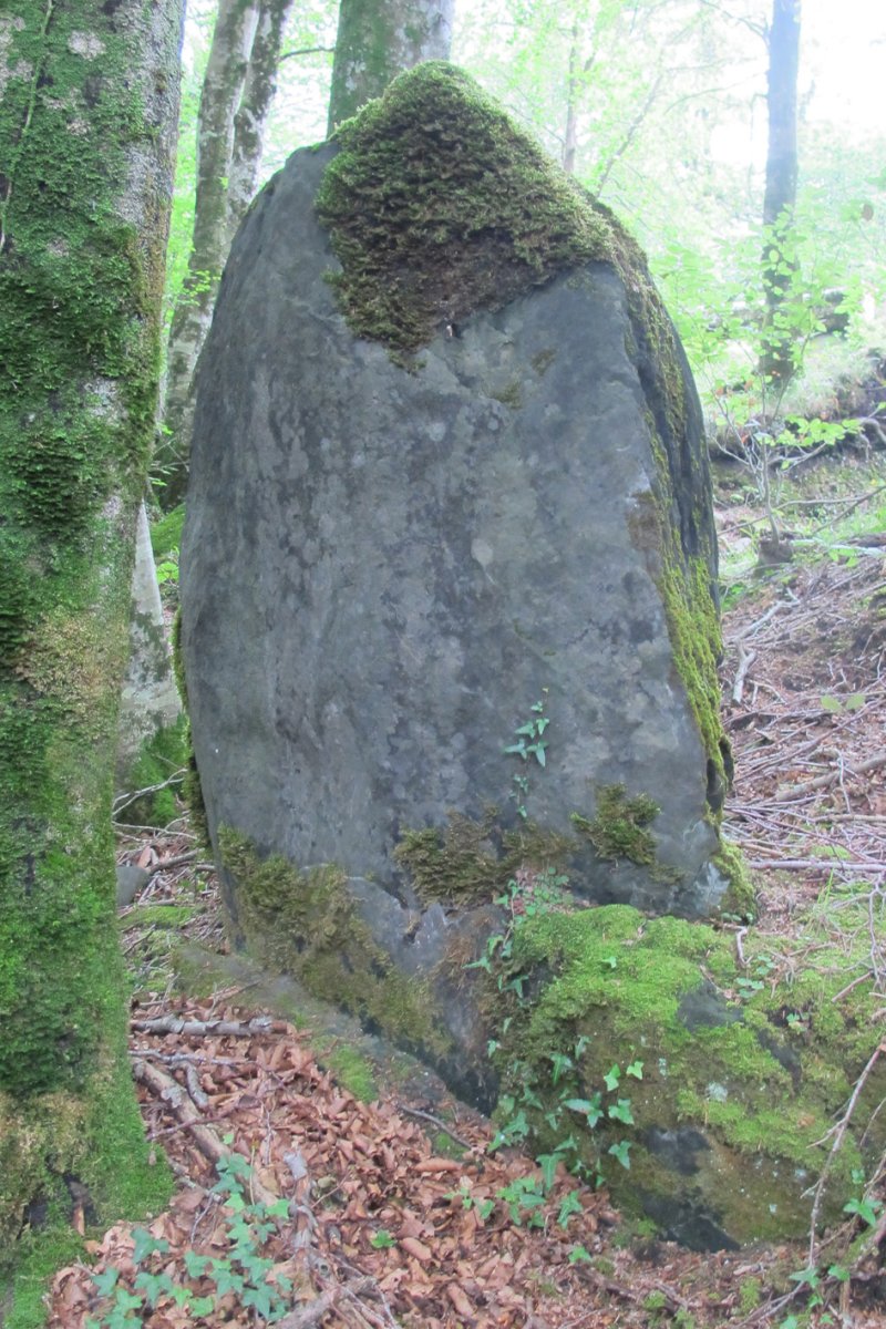 Arbotante 3 zutarria, Donamaria